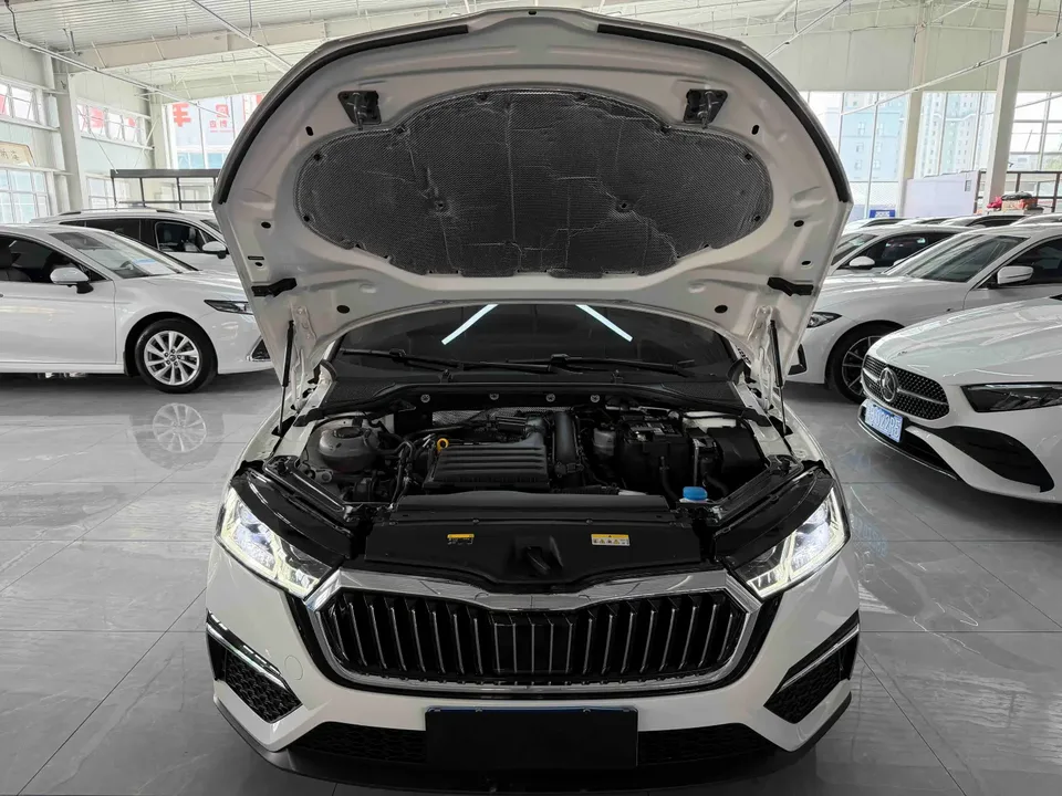 Skoda Octavia PRO TSI280 DSG Premium Edition 2022 — миниатюра 3