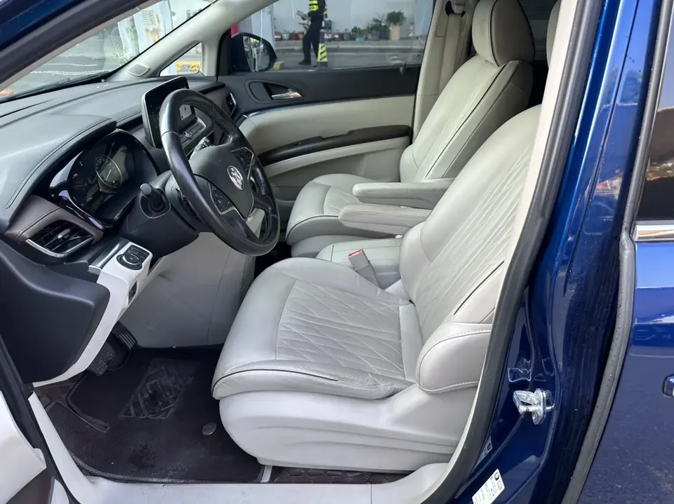 Buick GL8 Land Business Class 2.0T Luxury Edition 2022 — миниатюра 4