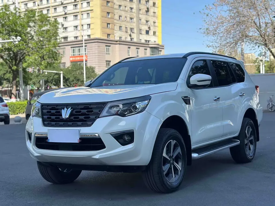 Dongfeng Paladin Paladin 2.0T 4WD Premium Edition 2024 — photo 1, buy with delivery to Moscow