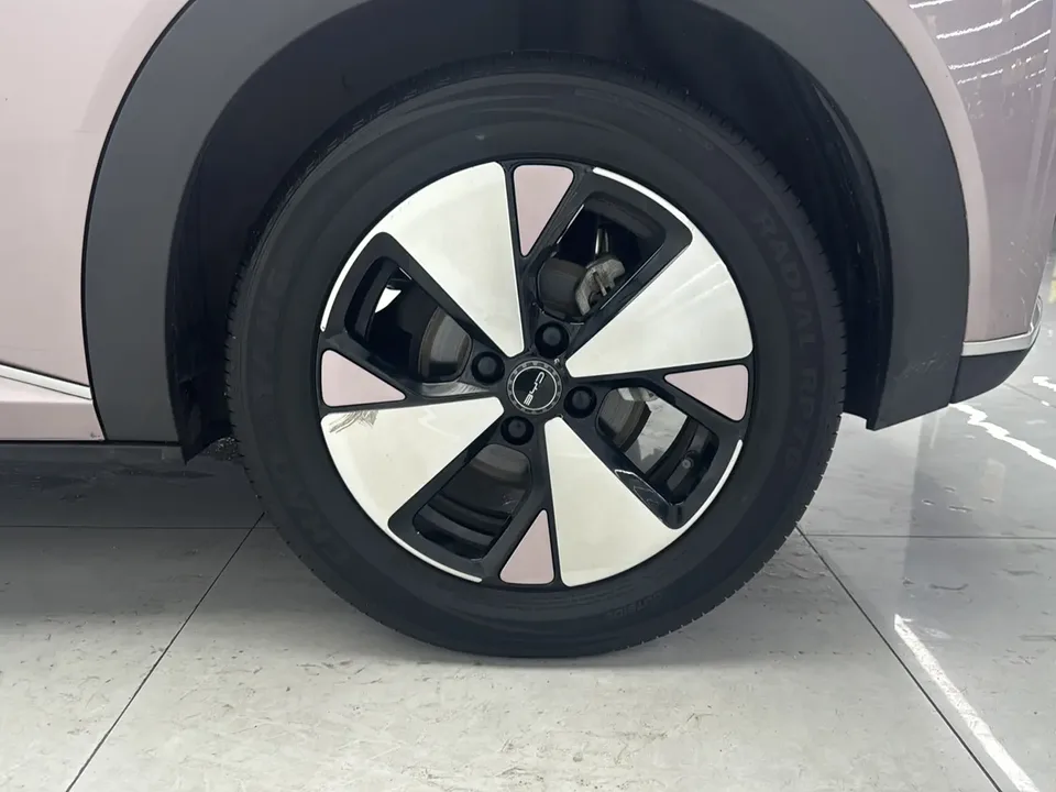 BYD Dolphin Dolphin Dolphin 2023 Fashion Edition 2023 — photo 1, buy with delivery to Moscow