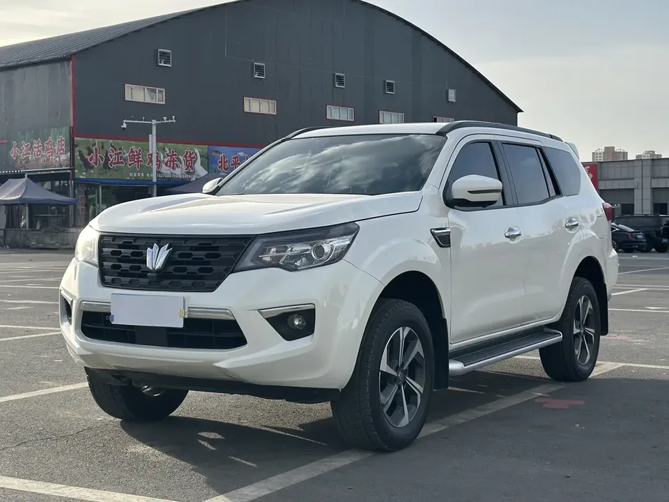 Dongfeng Paladin 2024