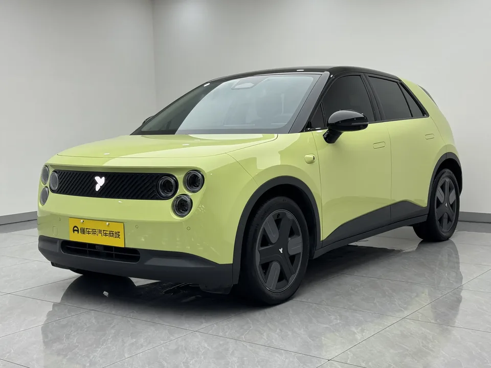 Firefly firefly firefly Luminous version 2025 — photo 1, buy with delivery to Moscow