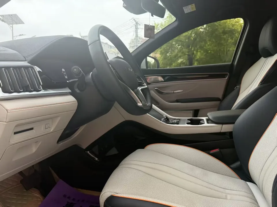 BYD Song PLUS DM DM-i Champion Edition 110KM Flagship Model 2024 — миниатюра 5