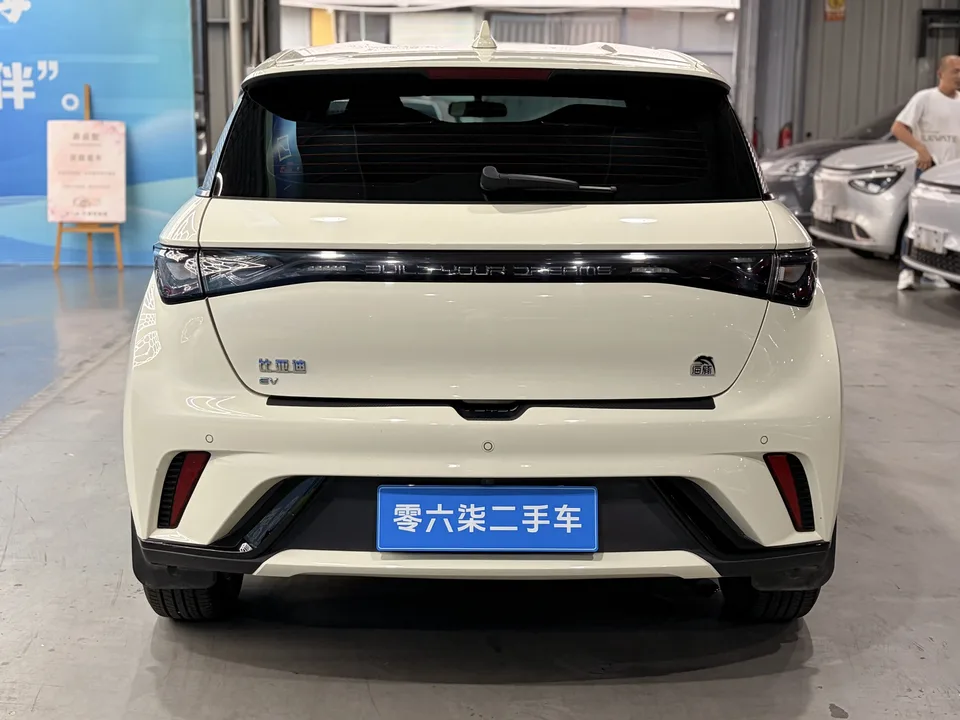 BYD Dolphin Dolphin Dolphin 2023 Free Edition 2023 — thumbnail 2