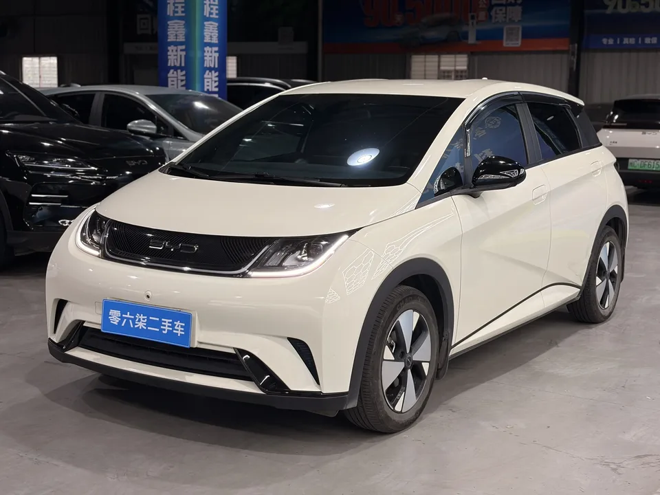 BYD Dolphin Dolphin Dolphin 2023 Free Edition 2023 — photo 1, buy with delivery to Moscow