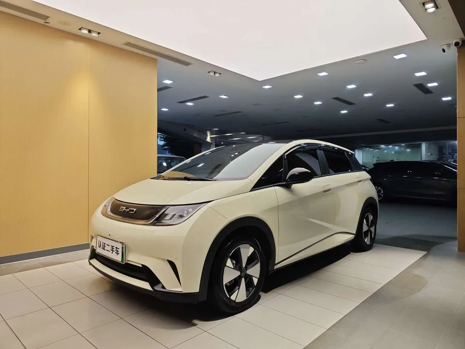 BYD Dolphin Dolphin Dolphin 2023 Fashion Edition 2023 — photo 1, buy with delivery to Moscow