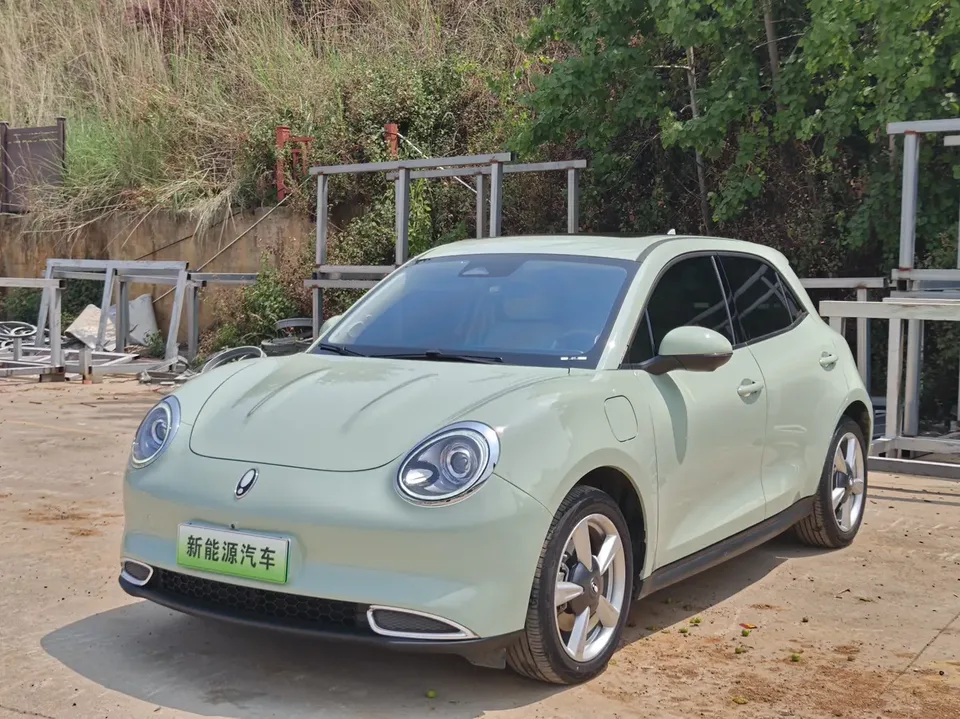 ORA Euler good cat Euler good cat 400km standard range premium ternary lithium model 2022 — фото 1, купить с доставкой в Москву
