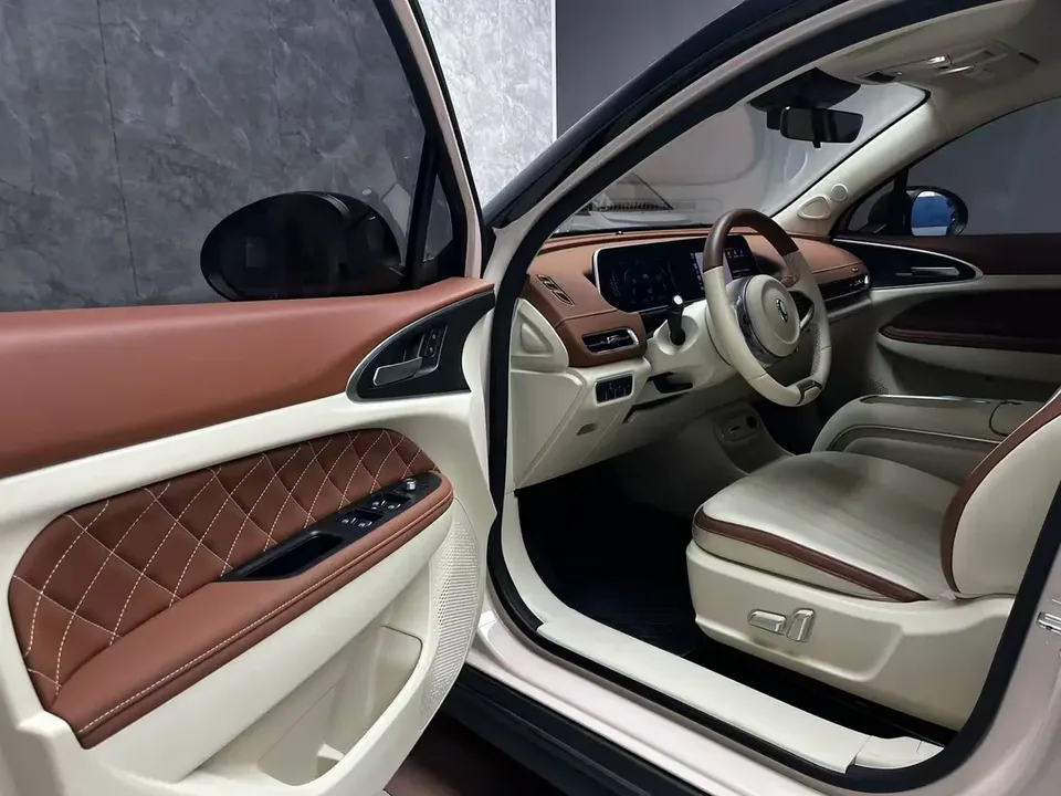ORA Euler good cat Euler good cat 401km standard range luxury lithium iron phosphate 2023 — thumbnail 3