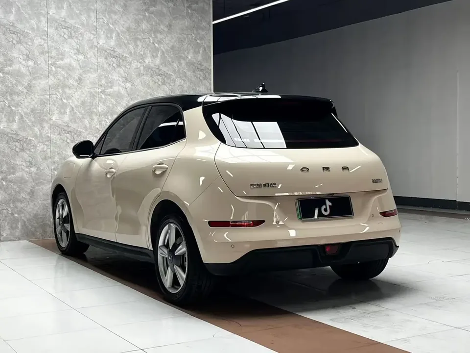 ORA Euler good cat Euler good cat 401km standard range luxury lithium iron phosphate 2023 — thumbnail 4