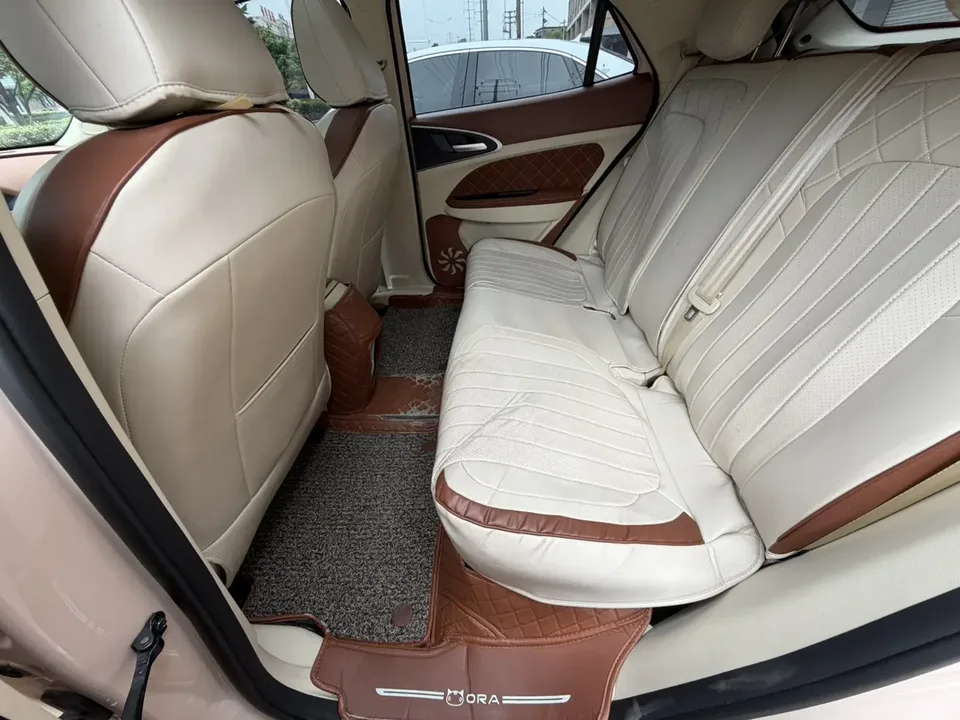 ORA Euler good cat Euler good cat 401km Premium Edition 2024 — thumbnail 2
