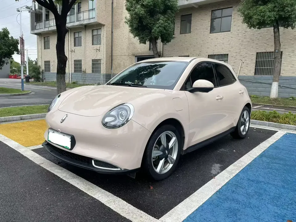 ORA Euler good cat Euler good cat 401km Premium Edition 2024 — photo 1, buy with delivery to Moscow