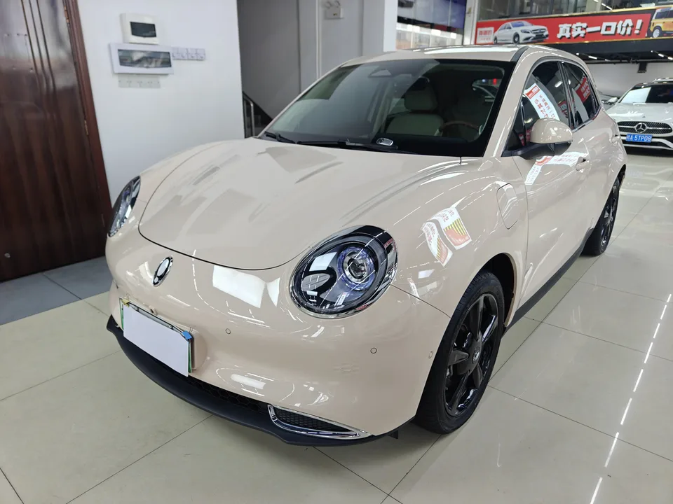ORA Euler good cat Euler good cat 401km Premium Edition 2024 — photo 1, buy with delivery to Moscow