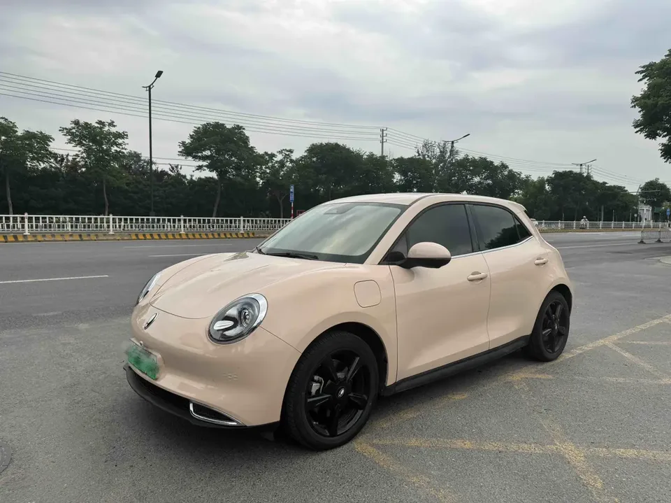 ORA Euler good cat Euler good cat 501km Luxury Model 2024 — photo 1, buy with delivery to Moscow