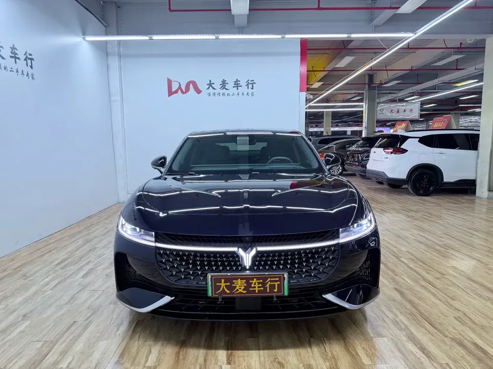 Voyah Passion PHEV 2024