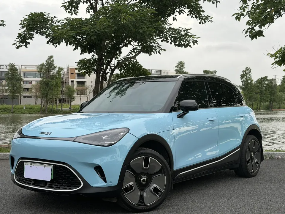 Smart Elf #1 smart elf #1 Premium 2022 — photo 1, buy with delivery to Moscow