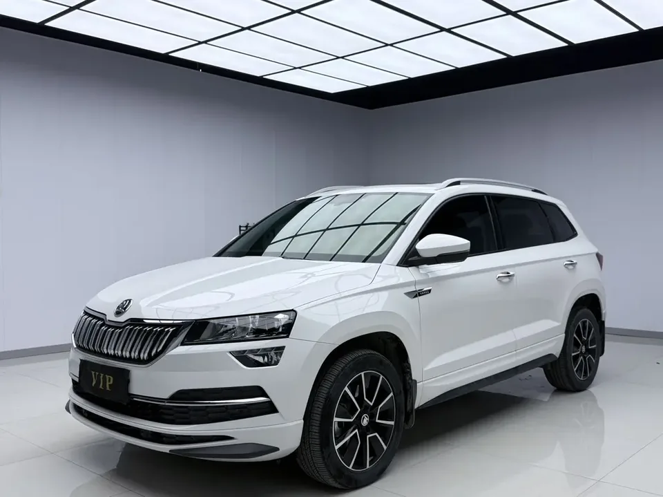 Skoda Karoq TSI280 Exclusive Edition 2022 — фото 1, купить с доставкой в Москву