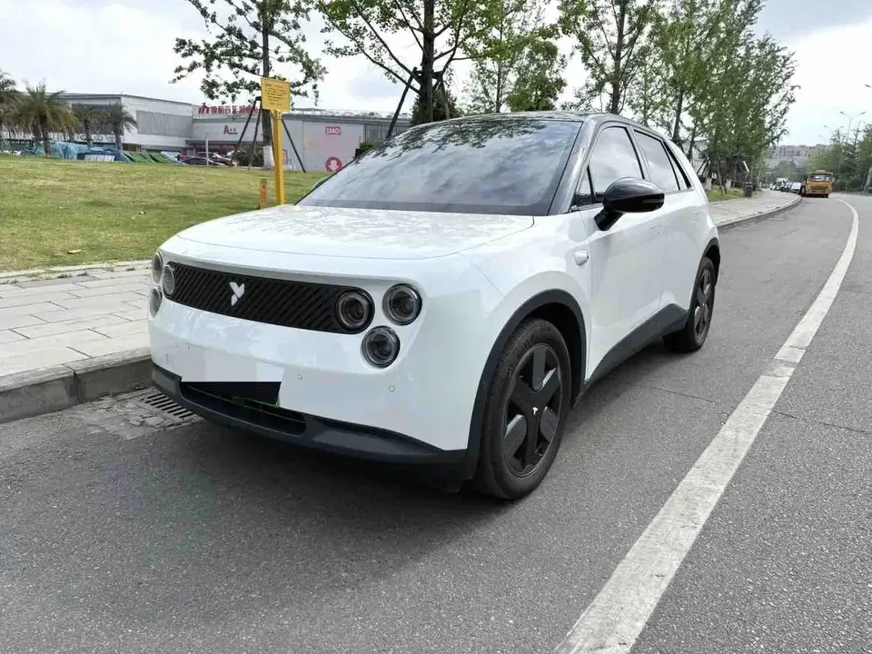 Firefly firefly firefly Free version 2025 — photo 1, buy with delivery to Moscow