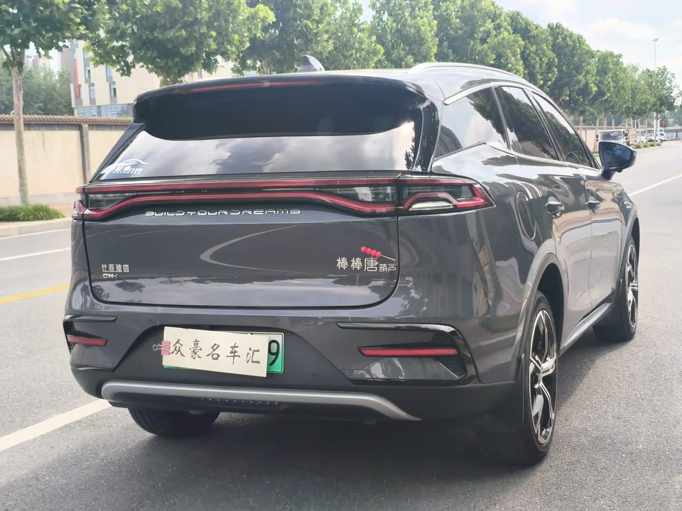 BYD Tang DM DM-i 1.5T 112KM Premium Edition 2022 — миниатюра 2