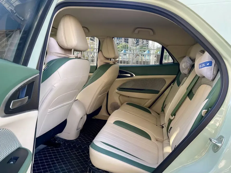 ORA Euler good cat 401km standard range luxury lithium iron phosphate 2024 — миниатюра 3
