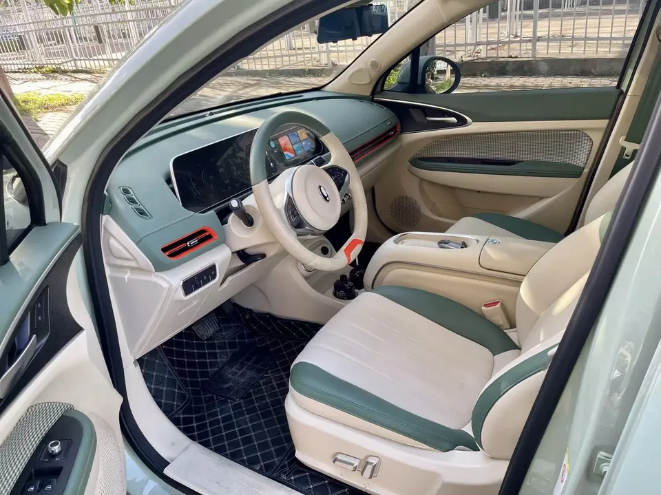 ORA Euler good cat 401km standard range luxury lithium iron phosphate 2024 — миниатюра 5