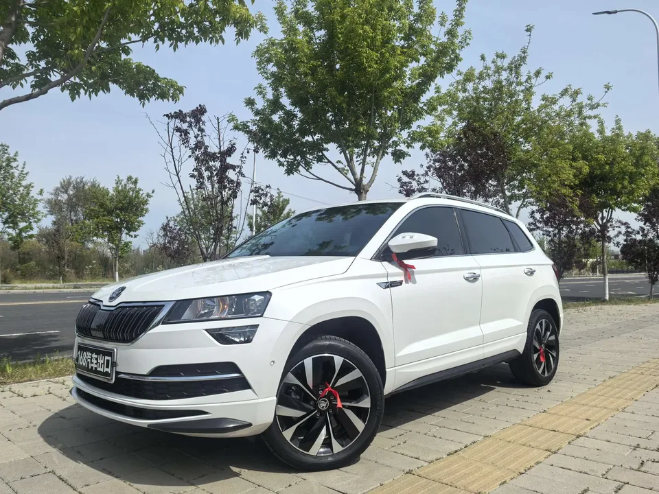 Skoda Karoq TSI280 Luxury Edition 2023 — фото 1, купить с доставкой в Москву