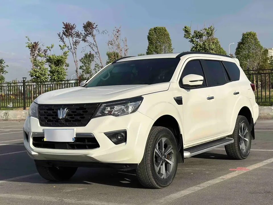 Dongfeng Paladin 2024