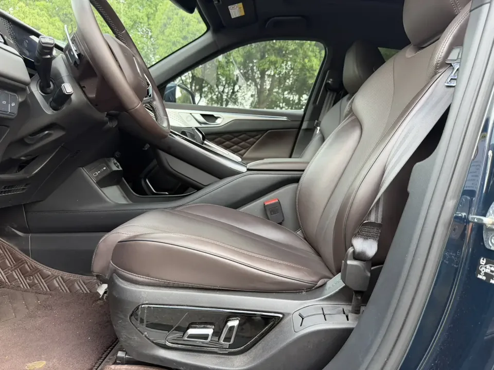 WEY Mocha 2.0T two-wheel drive special version 2022 — миниатюра 4