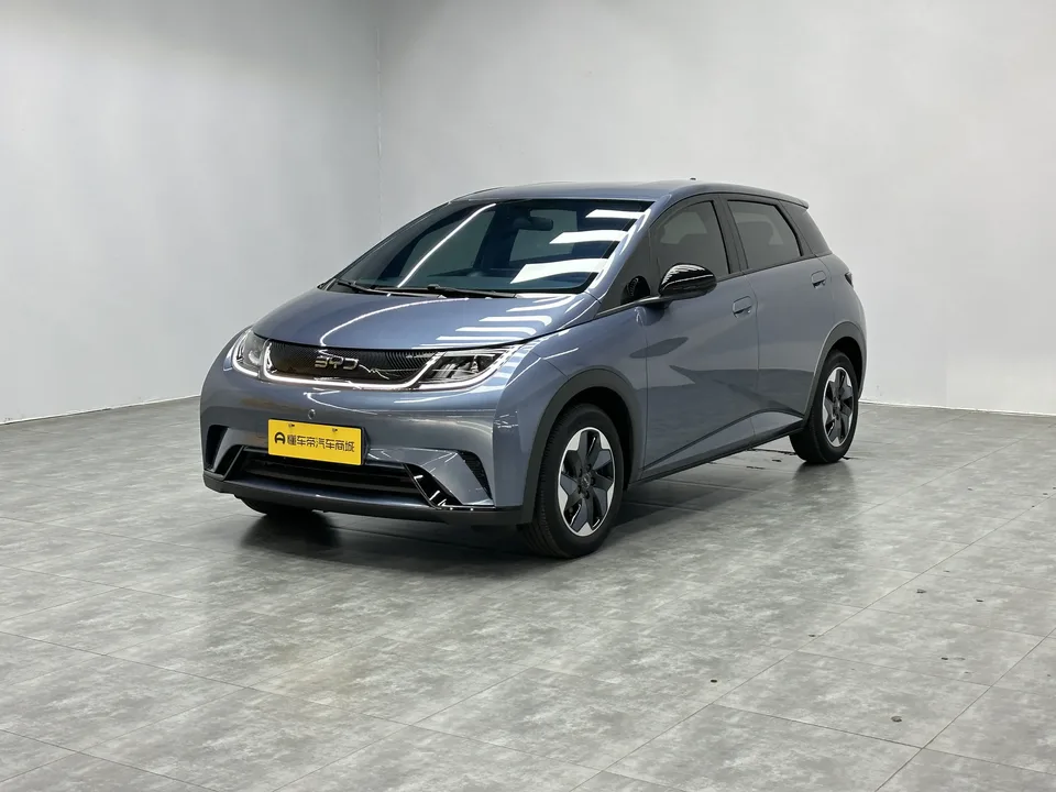 BYD Dolphin Dolphin Dolphin 2025 420KM Freedom Edition 2025 — photo 1, buy with delivery to Moscow