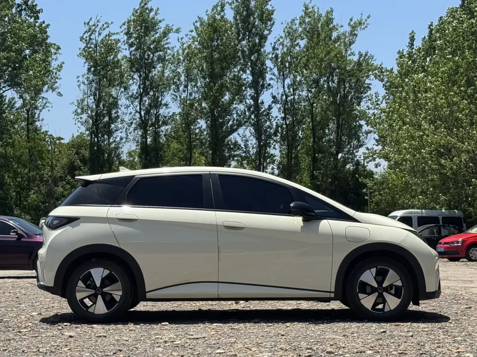 BYD Dolphin Dolphin Dolphin 2023 Free Edition 2023 — thumbnail 4