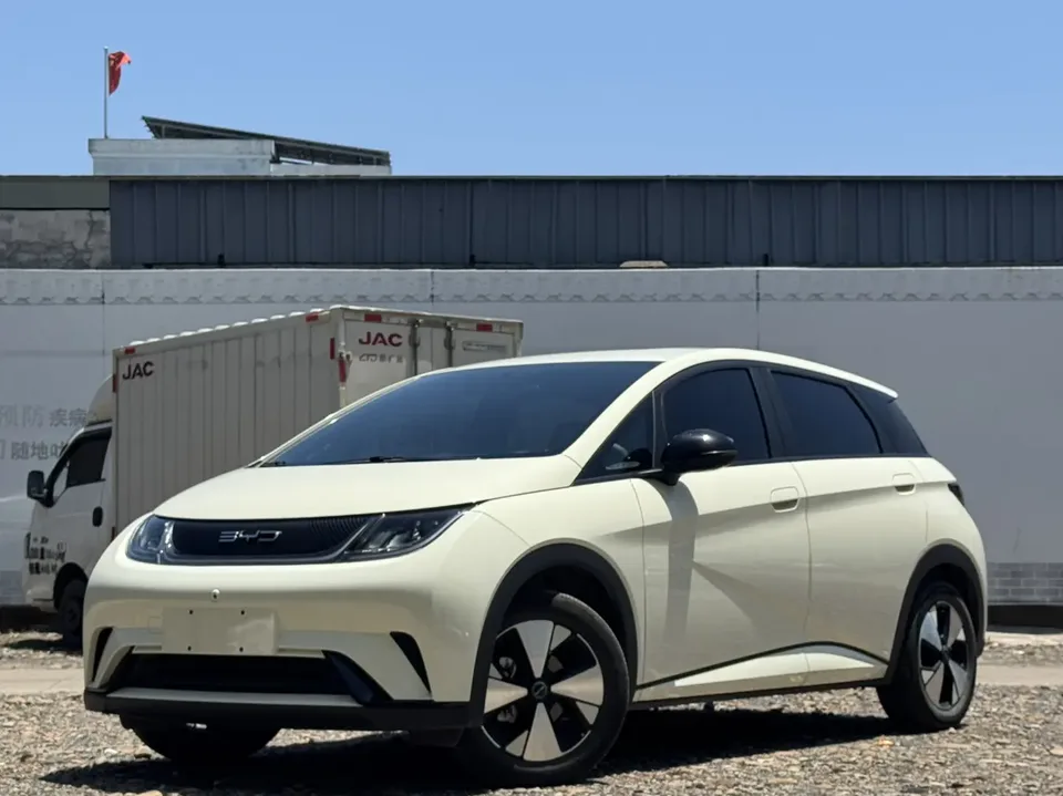 BYD Dolphin Dolphin Dolphin 2023 Free Edition 2023 — photo 1, buy with delivery to Moscow