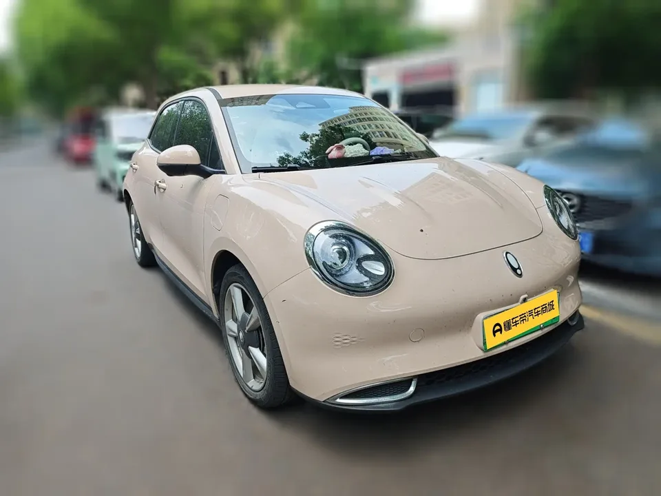 ORA Euler good cat 401km standard range luxury lithium iron phosphate 2023 — миниатюра 3