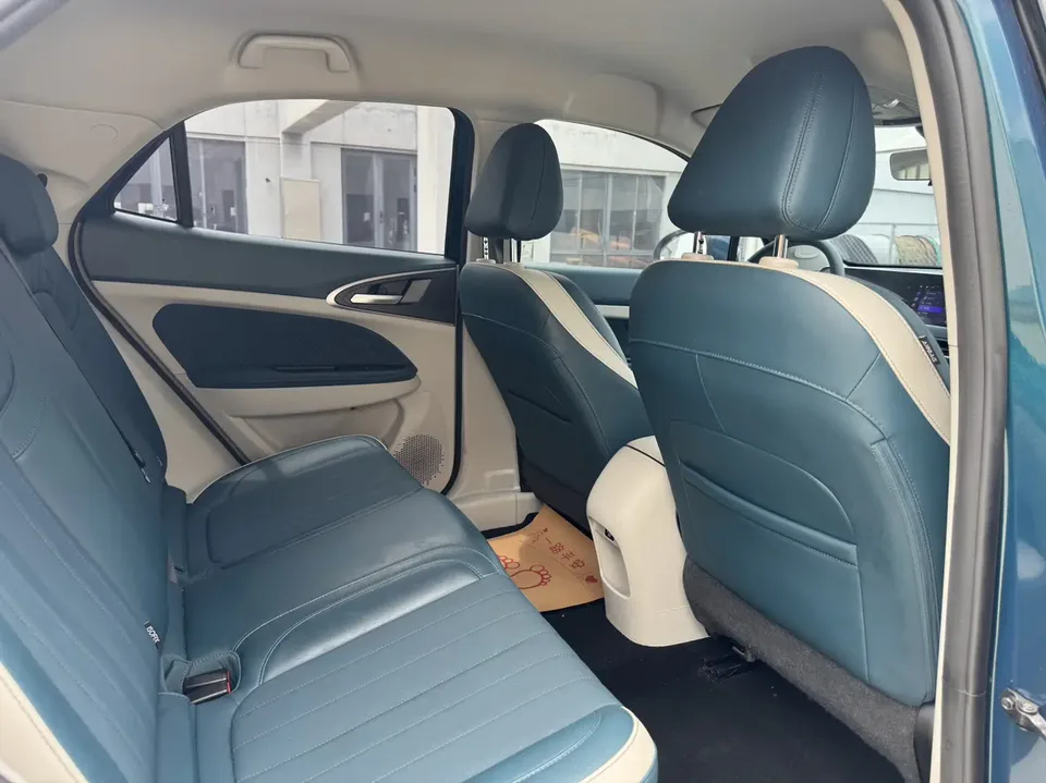ORA Euler good cat 401km standard range luxury lithium iron phosphate 2023 — миниатюра 3