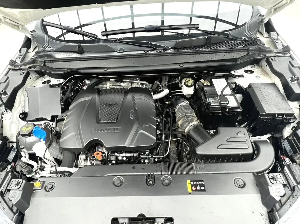 Haval Harvard Red Rabbit Haval Chitu 2022 Jinxiang Edition 1.5T Bronze Rabbit 2022 — миниатюра 4
