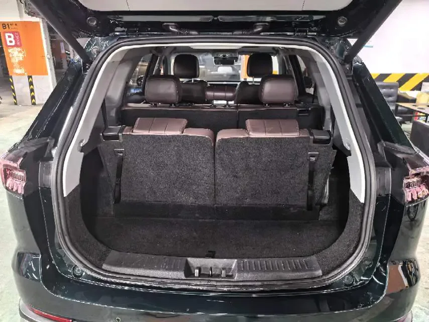 Chery Tiggo 8 Pro Tiggo 8 PRO 2024 Champion Edition 290T Two-wheel drive peak version 7 seats 2024 — миниатюра 3