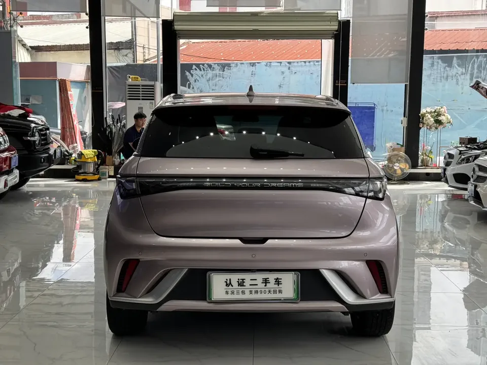 BYD Dolphin Dolphin Honor Edition 420km Fashion Edition 2024 — thumbnail 2