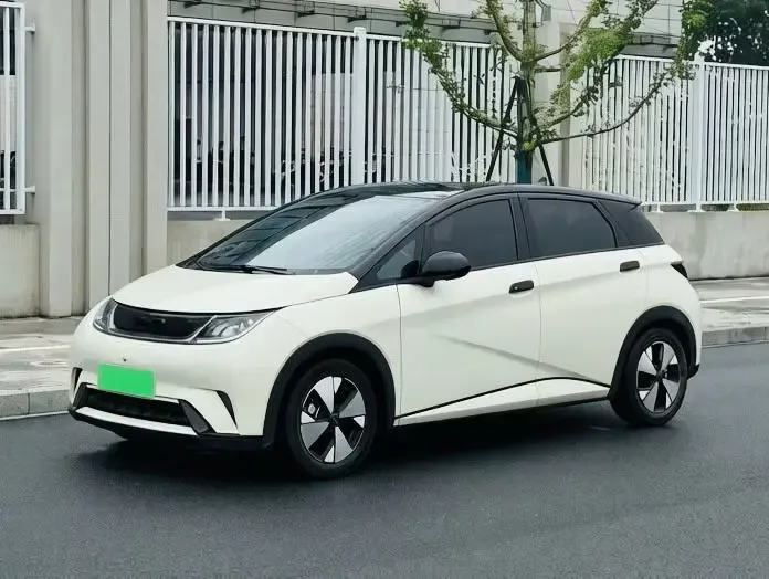 BYD Dolphin Dolphin Dolphin 2023 Fashion Edition 2023 — photo 1, buy with delivery to Moscow