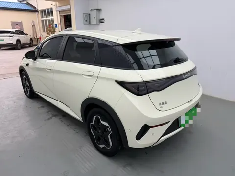 BYD Dolphin 2025 buy in Moscow