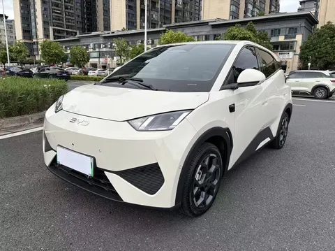 BYD Seagull 2026 buy in Moscow