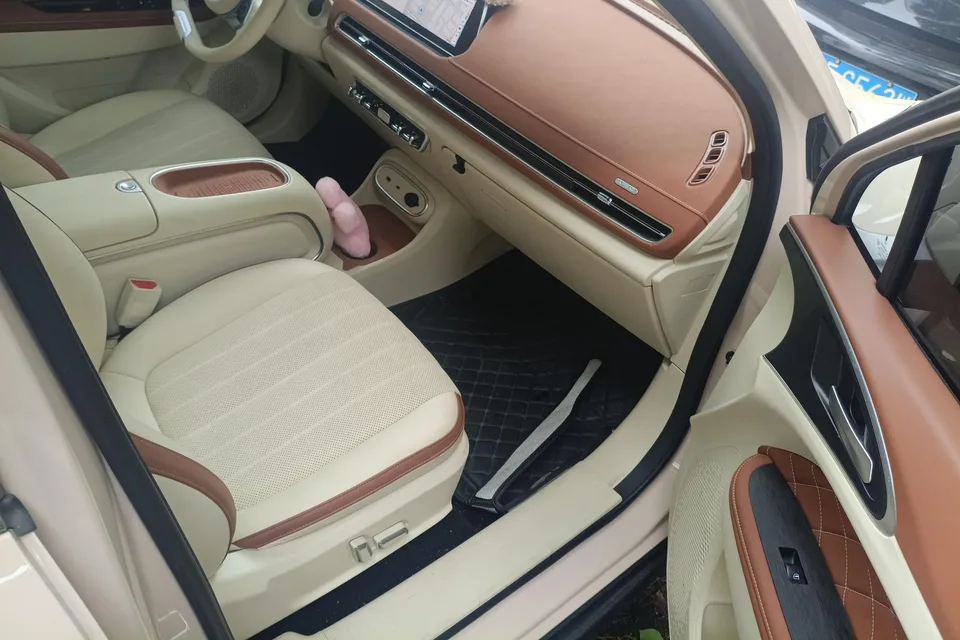 ORA Euler Good Cat GT Euler Good Cat GT Mulan Edition 401km Premium 2023 — thumbnail 3