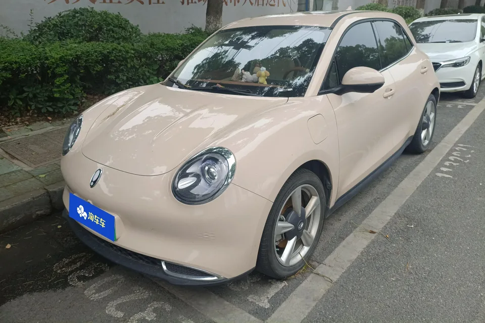 ORA Euler Good Cat GT Euler Good Cat GT Mulan Edition 401km Premium 2023 — photo 1, buy with delivery to Moscow