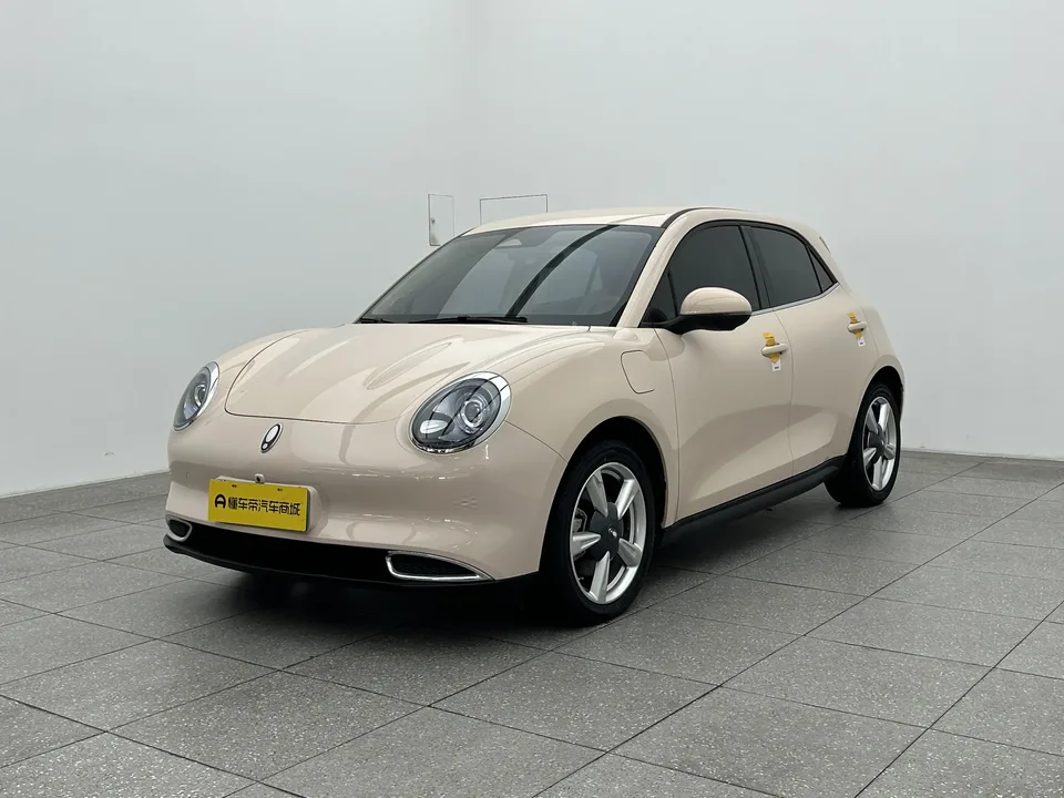 ORA Euler good cat Euler good cat 401km standard range luxury lithium iron phosphate 2023 — фото 1, купить с доставкой в Москву