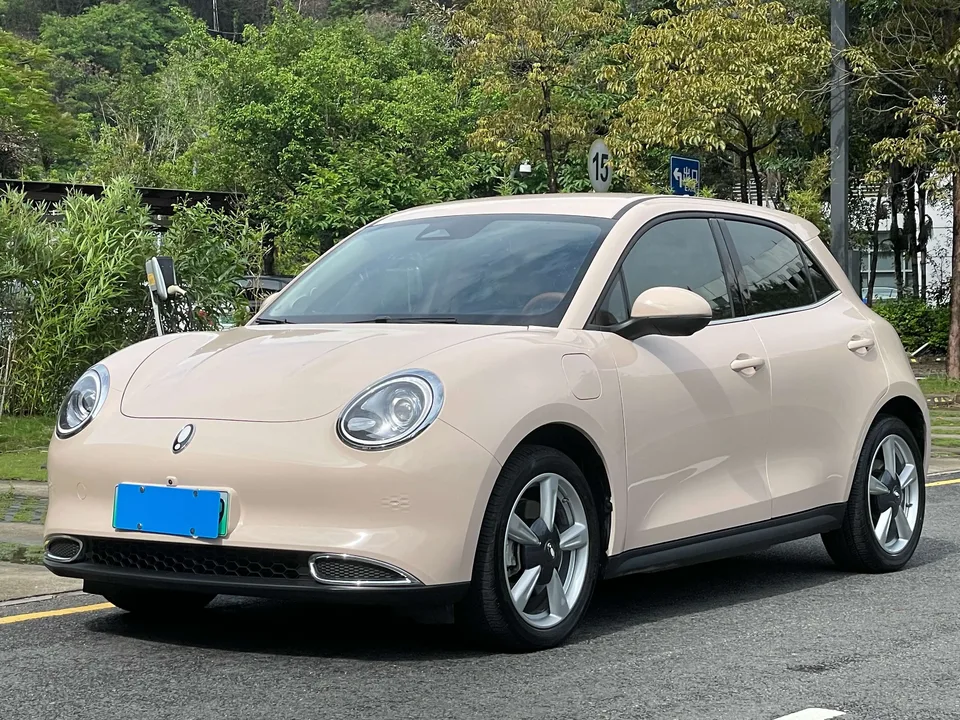 ORA Euler good cat Euler good cat 401km standard endurance luxury lithium iron phosphate 2023 — photo 1, buy with delivery to Moscow