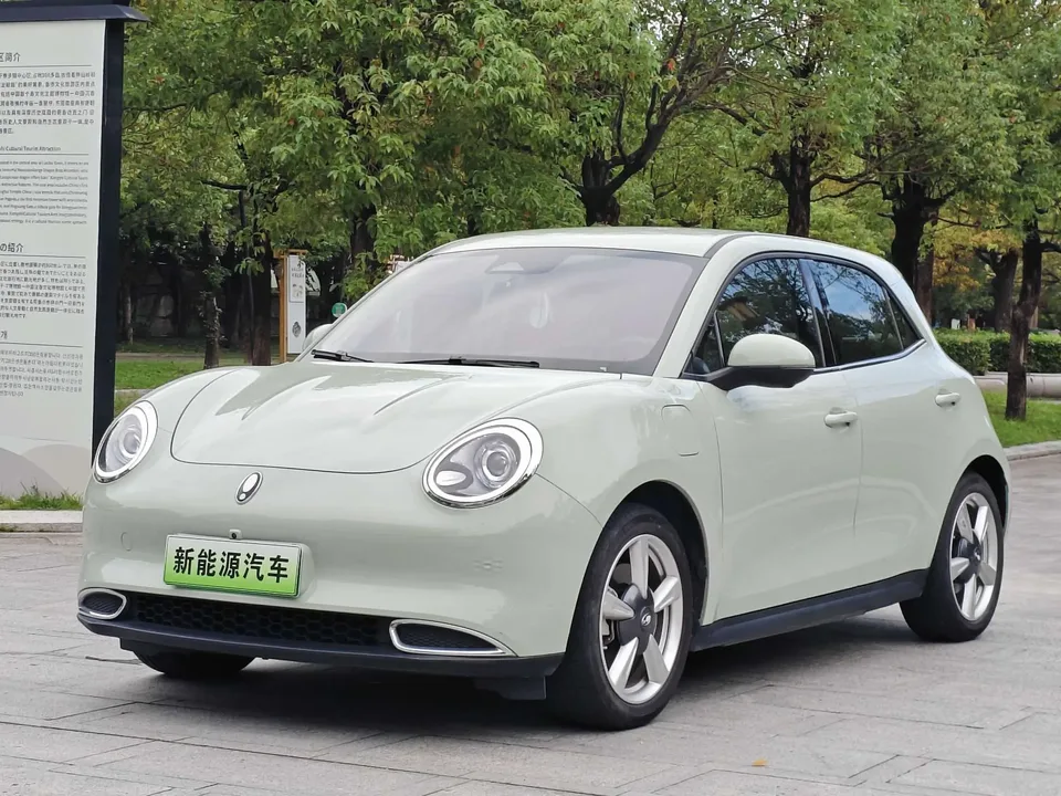 ORA Euler good cat Euler good cat 400km standard range luxury lithium iron phosphate 2023 — photo 1, buy with delivery to Moscow