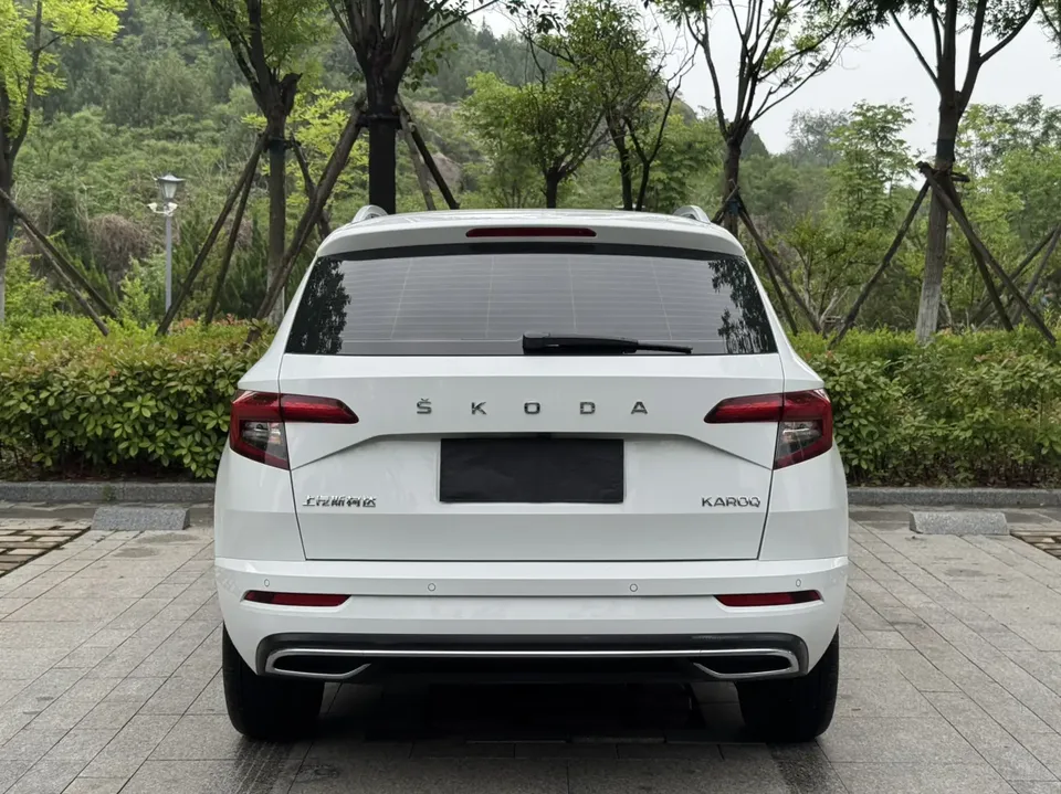 Skoda Karoq TSI280 Luxury Edition 2023 — миниатюра 2