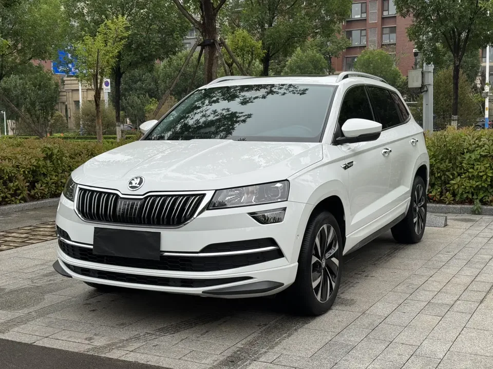 Skoda Karoq TSI280 Luxury Edition 2023 — фото 1, купить с доставкой в Москву