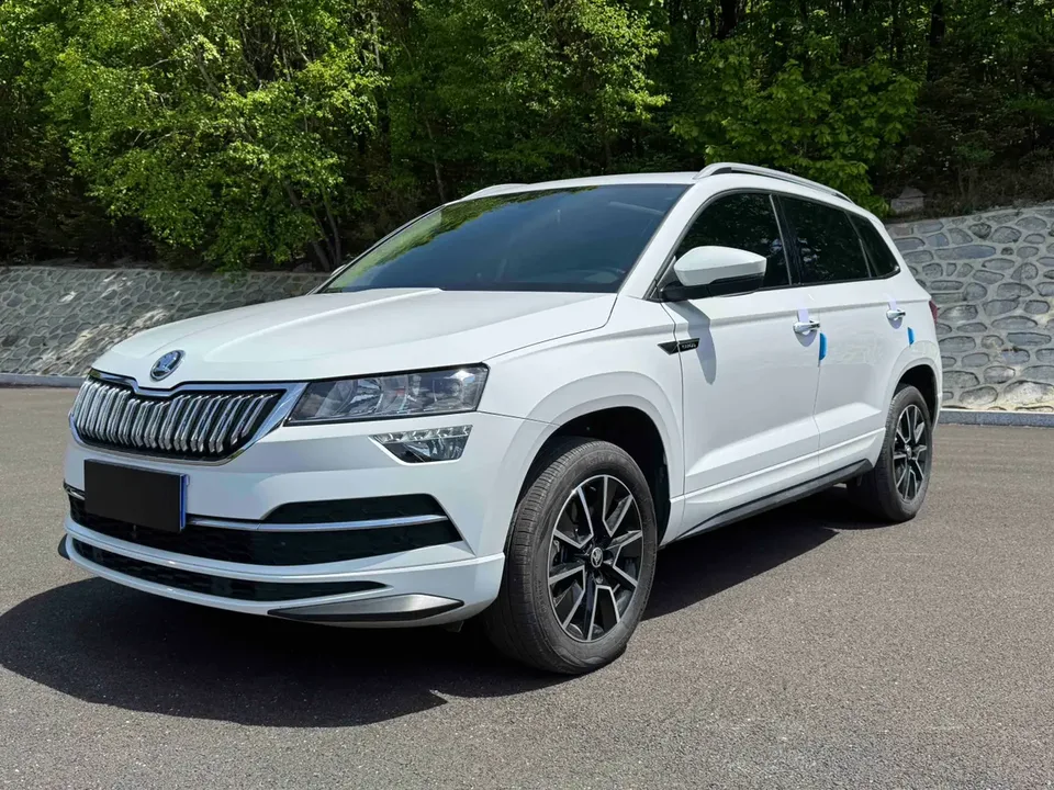 Skoda Karoq TSI280 Exclusive Edition 2023 — фото 1, купить с доставкой в Москву