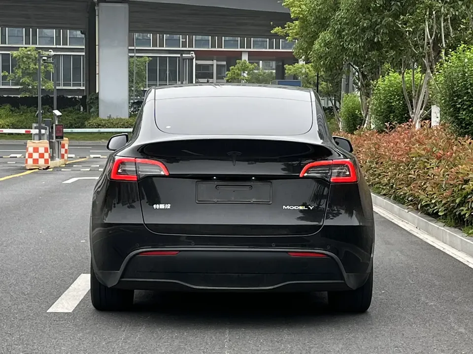Tesla Model Y facelift rear-wheel drive version 2023 — миниатюра 2