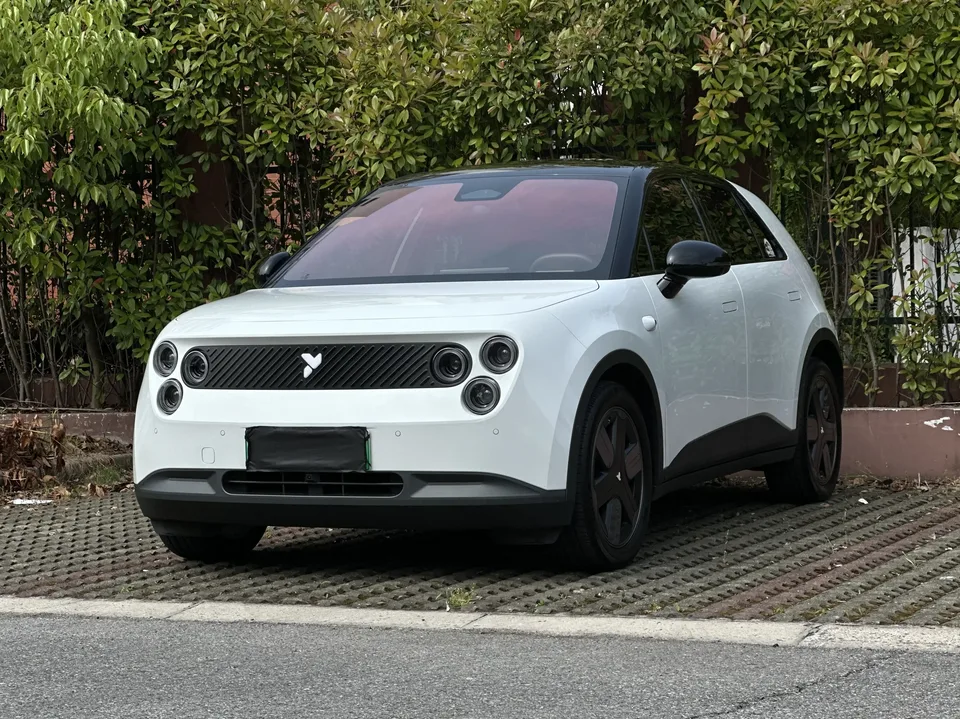Firefly firefly firefly Free version 2025 — photo 1, buy with delivery to Moscow