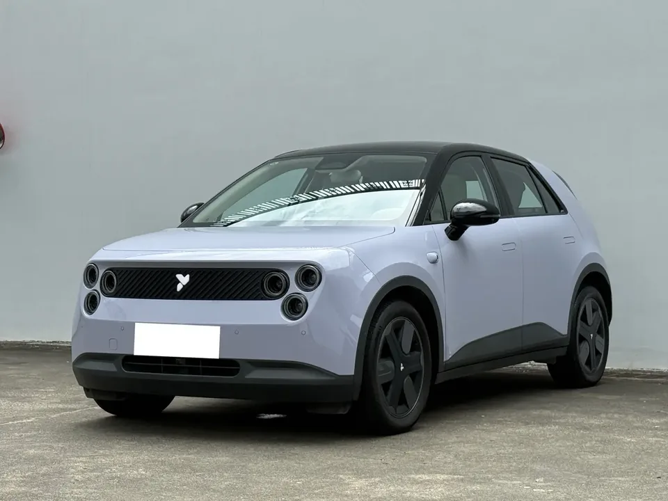 Firefly firefly firefly Luminous version 2025 — photo 1, buy with delivery to Moscow