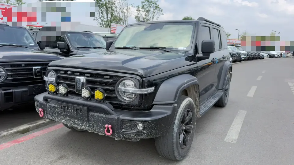 Tank 300 Tank 300 Off-road version 2.0T Conqueror 2023 — photo 1, buy with delivery to Moscow